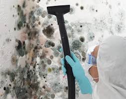 Best Mold Damage Restoration  in Sellersville, PA